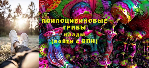 СК Остров