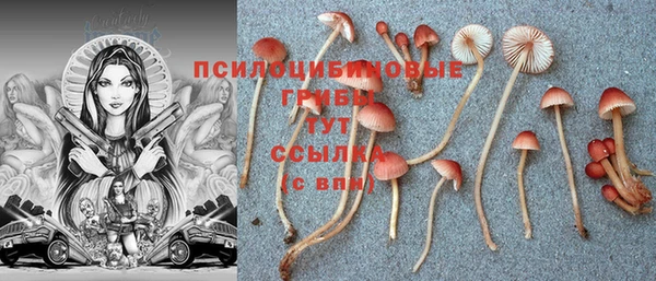 мескалин Осташков