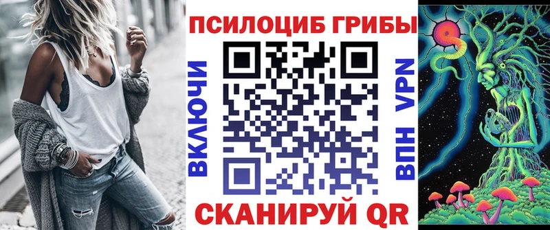 Псилоцибиновые грибы Cubensis  сколько стоит  Волоколамск 