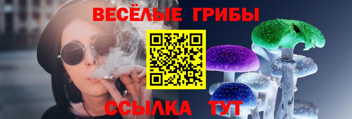 Волоколамск  Псилоцибиновые грибы Magic Shrooms  Вход с VPN 